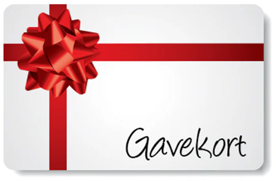 TeslaFun image by Kim Lundberg Stegenborg Madsen