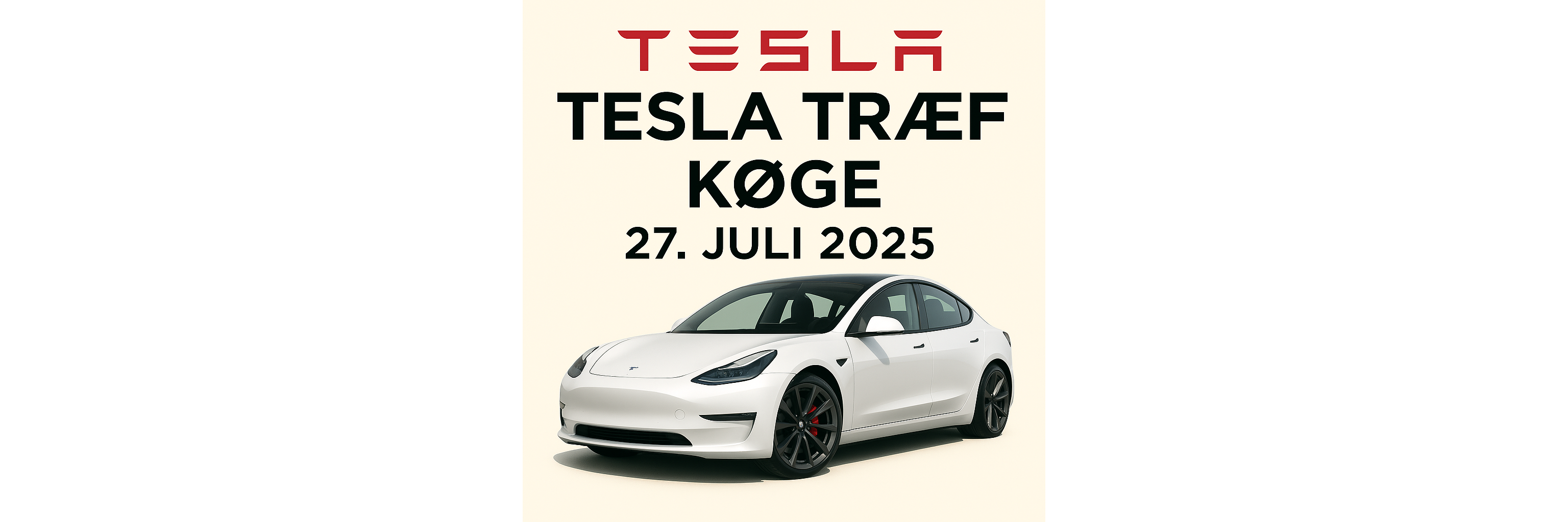 TeslaFun image by Ronnie Albér