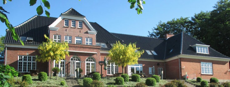 TeslaFun image by Steffen Bøttern Nielsen