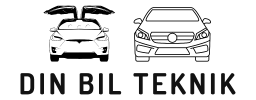 TeslaFun image by Kim Lundberg Stegenborg Madsen