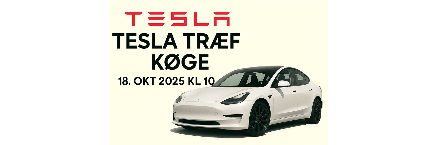 TeslaFun image by Ronnie Albér