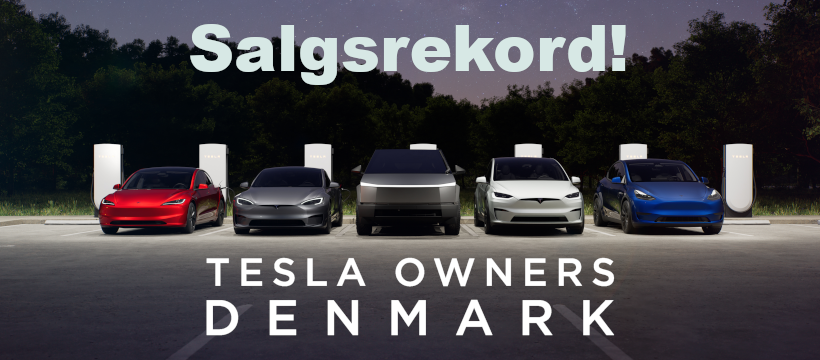 TeslaFun image by Kim Lundberg Stegenborg Madsen